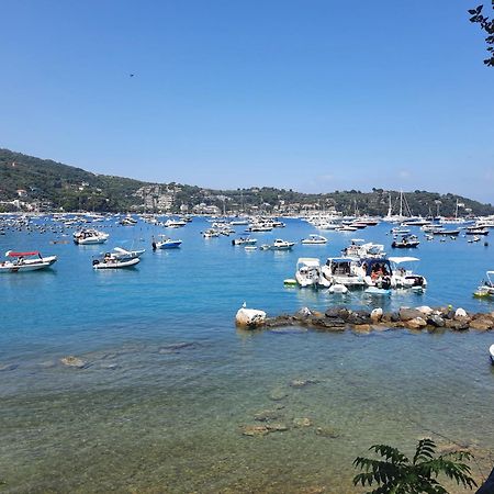 Appartamento Il Vicoletto La Spezia Esterno foto