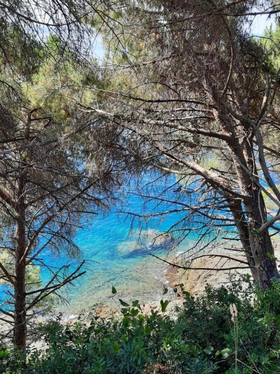 Appartamento Il Vicoletto La Spezia Esterno foto