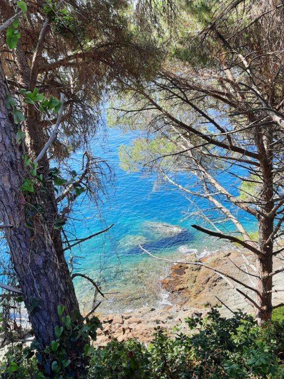 Appartamento Il Vicoletto La Spezia Esterno foto