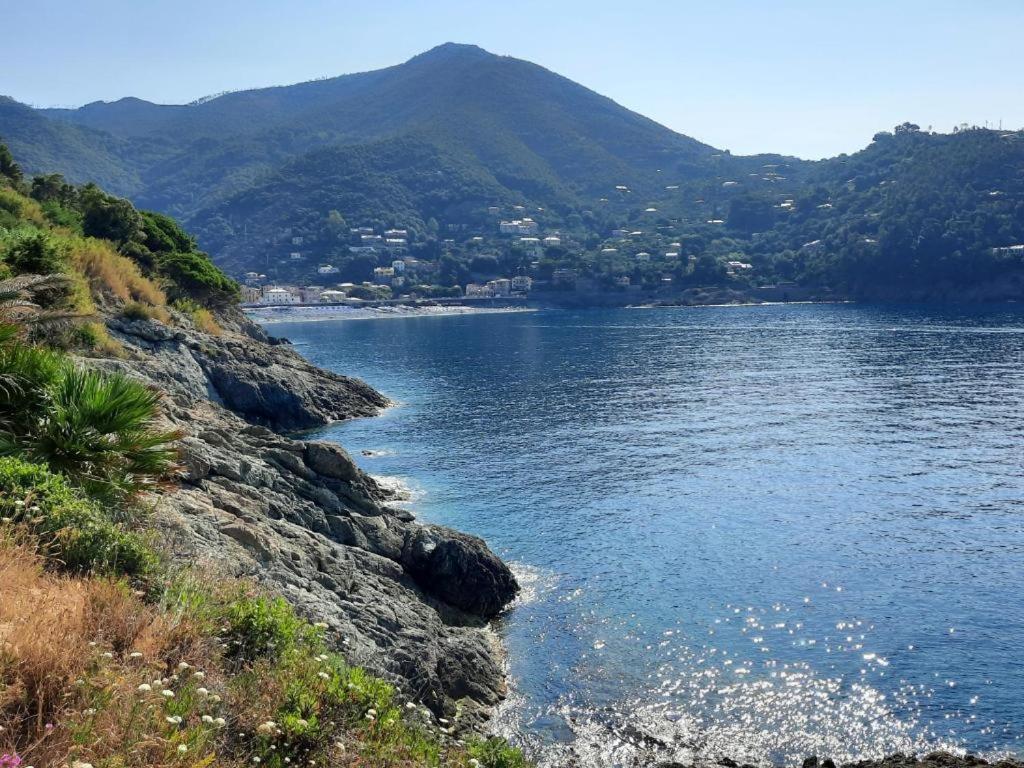 Appartamento Il Vicoletto La Spezia Esterno foto
