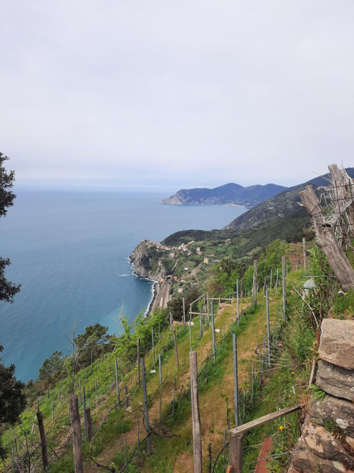 Appartamento Il Vicoletto La Spezia Esterno foto